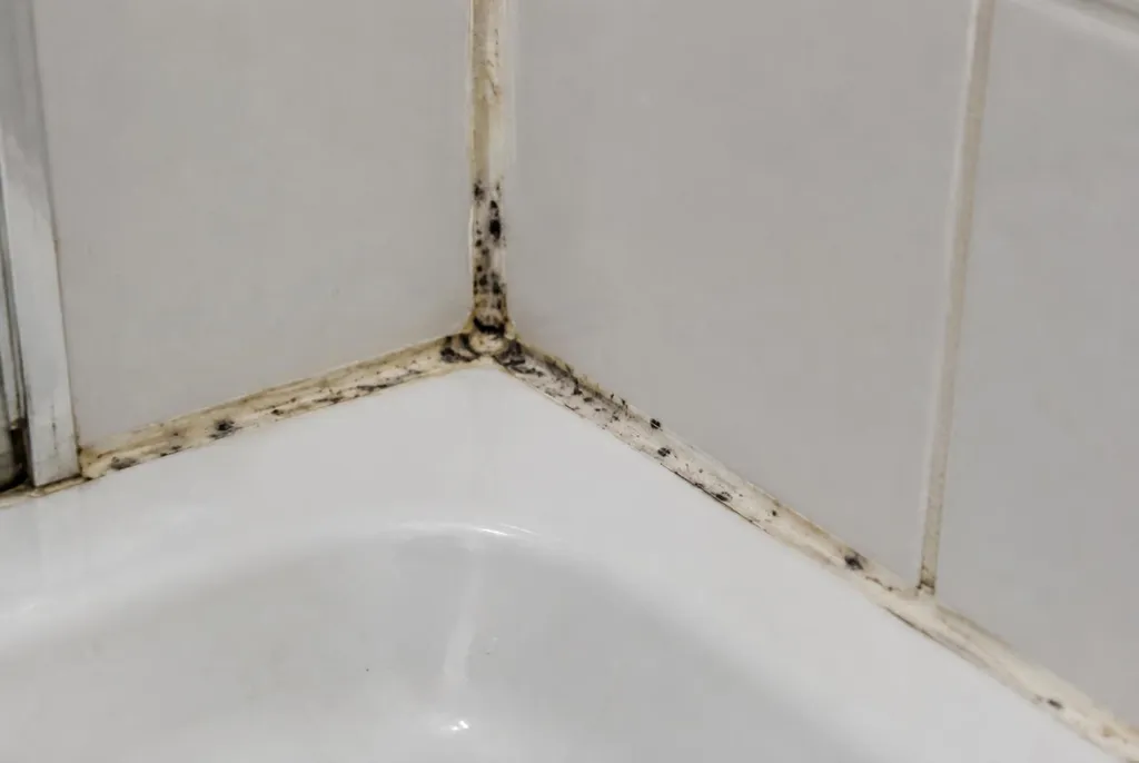 Kitbedrijf Schiedam – beschimmelde kitranden